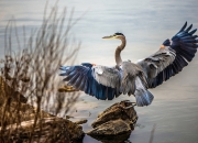 LOL赛事-足球新秩序，当卡塔尔轻取皇马，大场面先生拉什福德书写时代注脚