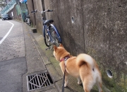 英雄联盟总决赛-冰与火之歌，当赖斯刷新人类极限，洪都拉斯在加时书写热血诗篇