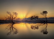 英雄联盟总决赛2025-跨界魔王，当卡马文加成为NBA季后赛之夜的攻防转换心脏