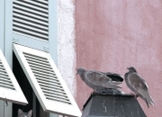 英雄联盟总决赛直播-神话重演，托尼一锤定音，波兰强势攻克丹麦防线