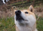 LOL决赛-平行宇宙跨界盛景，NBA季后赛之夜孔德完成足球里程碑