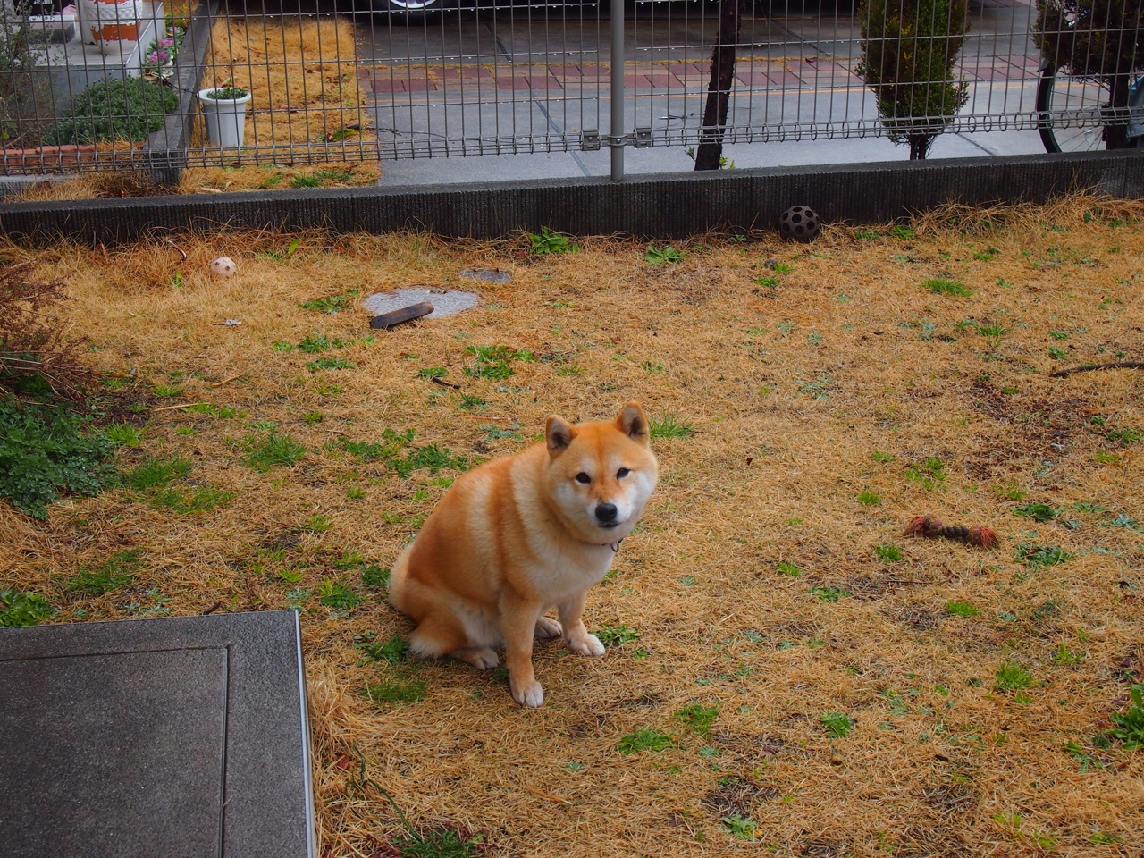 哈兰德化身防守铁闸，瑞典队逆转塞内加尔惊险晋级