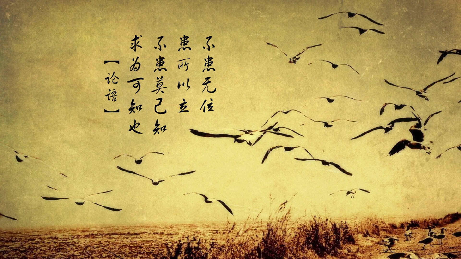 烈焰焚城与寒冰锁国，爱德华兹狂飙之夜揭示的篮球真谛