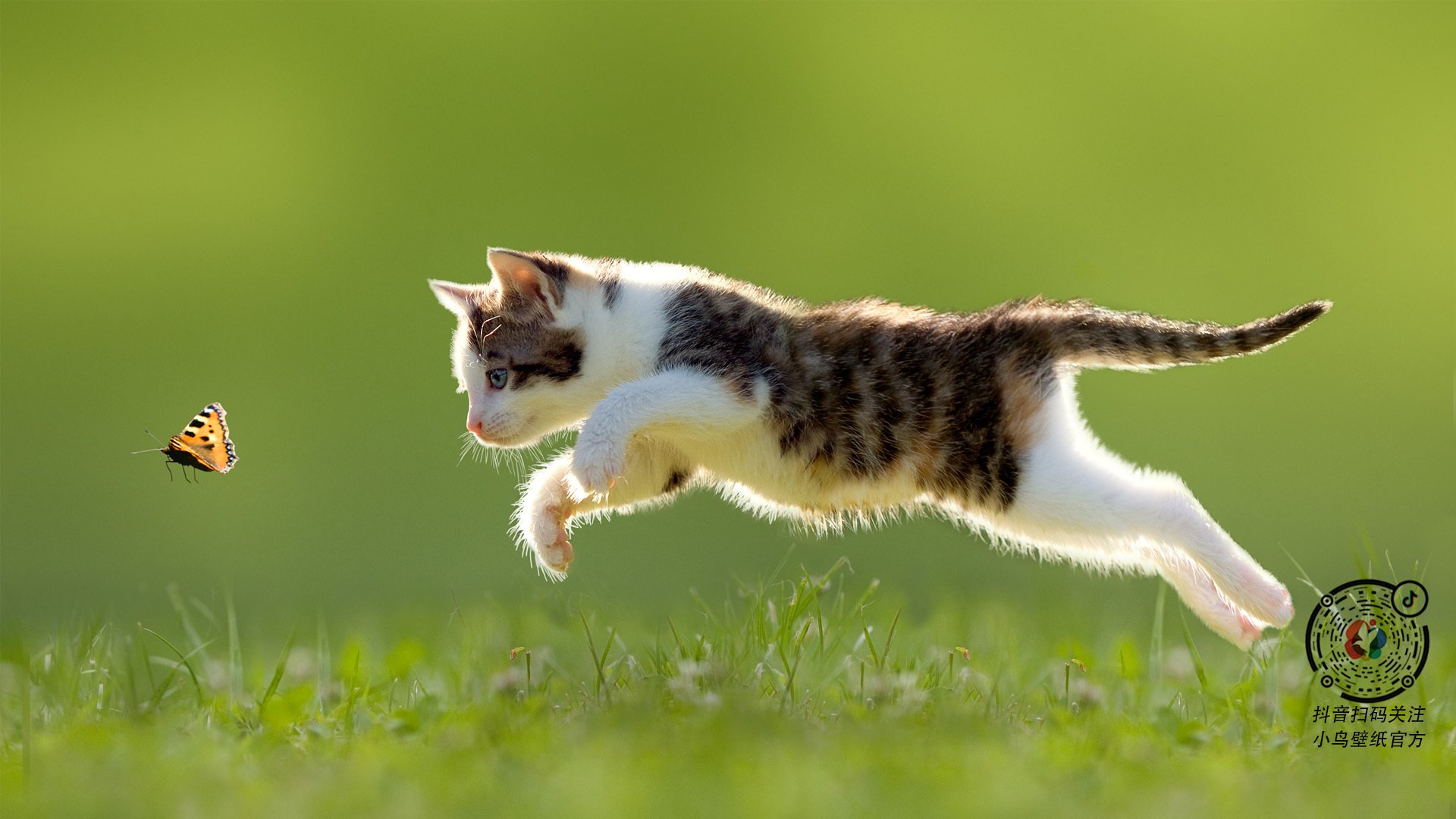 洪都拉斯对阵新西兰,若日尼奥在黎明前的黑暗中完成自我救赎