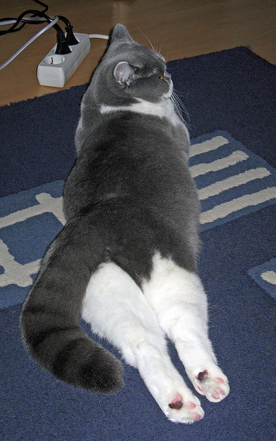 丹麦单节闪电战拉开罗马,库尔图瓦神勇难救主成焦点