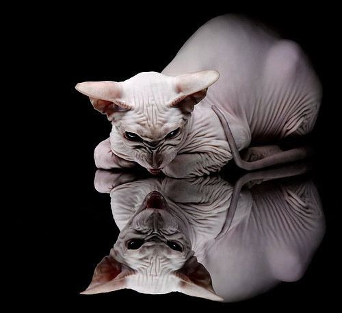 年度焦点之战,无名火箭击碎钢铁深圳,以弱胜强的篮球启示录