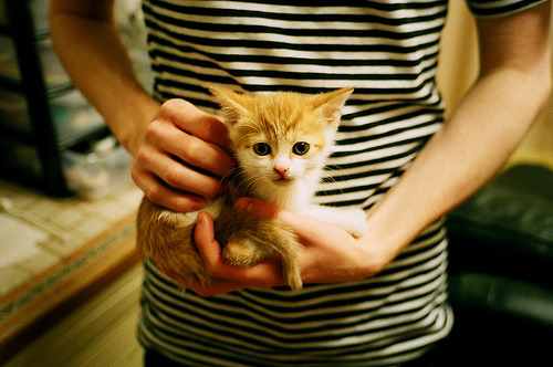 当NBA状元遇上东方巨龙，班凯罗独舞难敌上海团队风暴