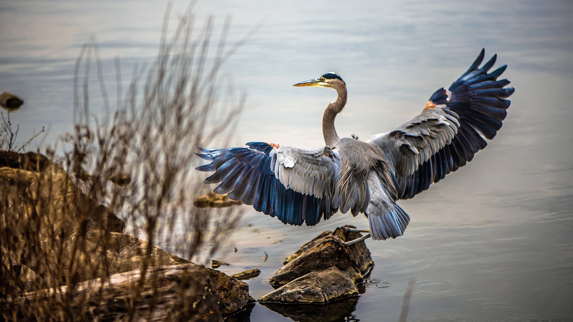 关键节点连得10分！西亚卡姆助步行者逆转掘金