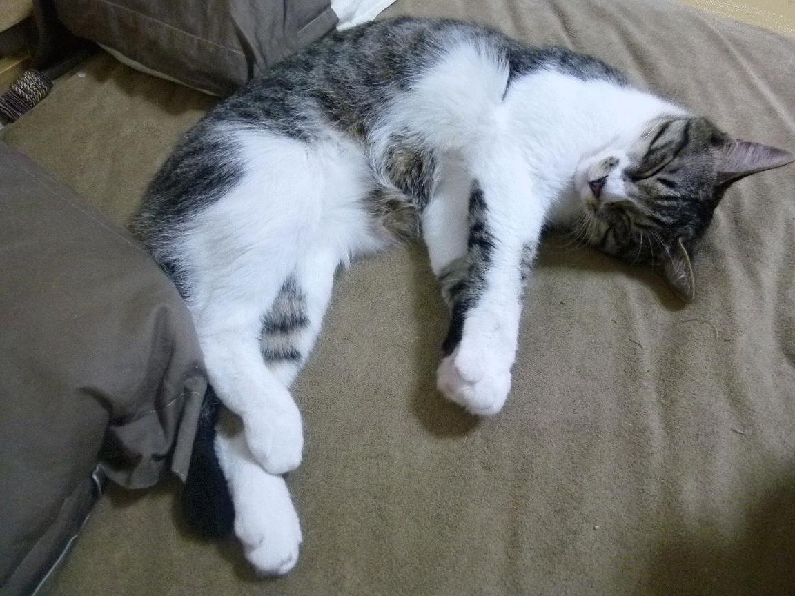 大胡子与京腔,当哈登用慢三步打碎首钢体育馆的秒针