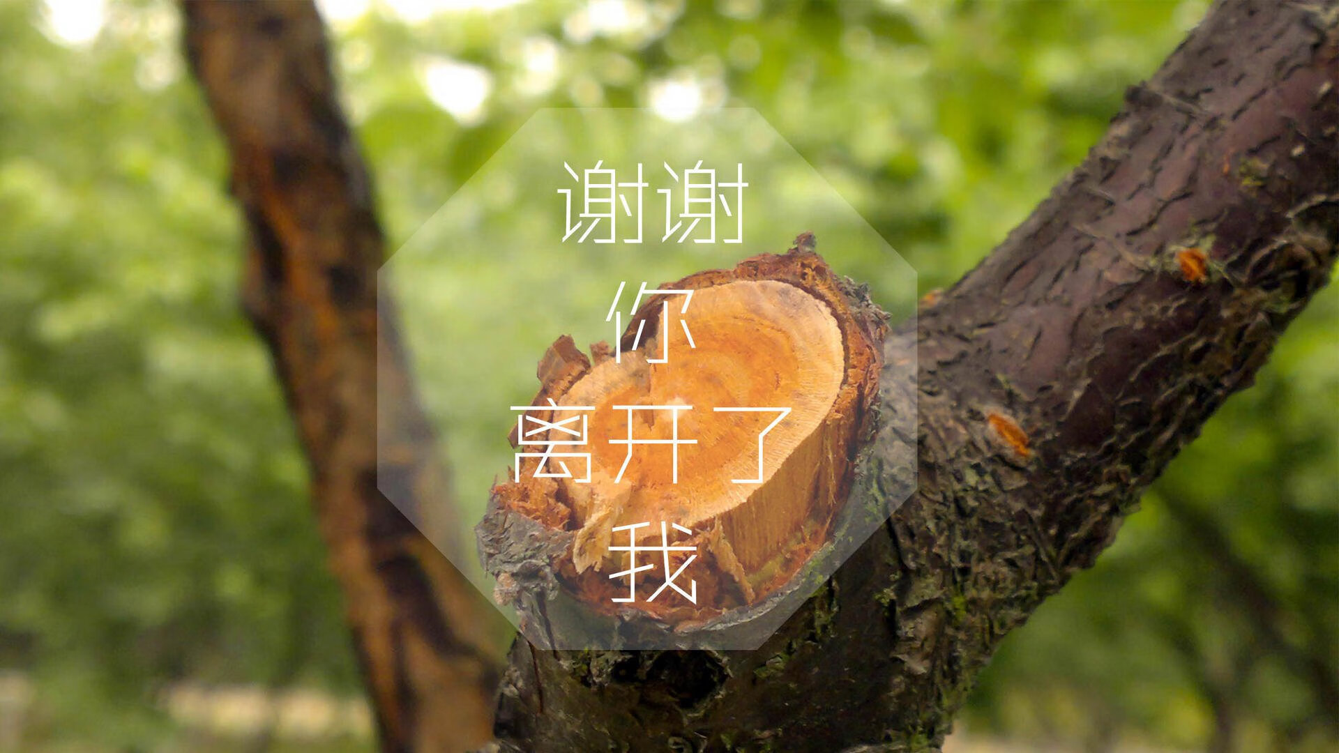 双面舞台，当维尼修斯的爆发撞上乌克兰的铜墙铁壁—一场关于天赋与制度的非典型对决